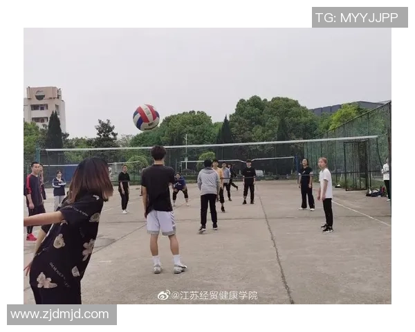 上海排球队灵活性探讨：如何在比赛中提升战术应变能力与团队协作